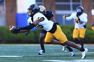 A football player in a black helmet and white jersey dives to catch the ball, with another player chasing in the background.